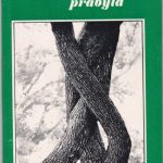 Korsakovas A. Ir medžiai prabyla