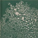 Avyžius Jonas. Degimai