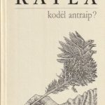 Raila Bronys. Kodėl antraip?