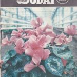 Mūsų sodai, 1978/12