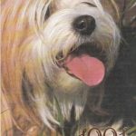 Kalendoriukas , 1991