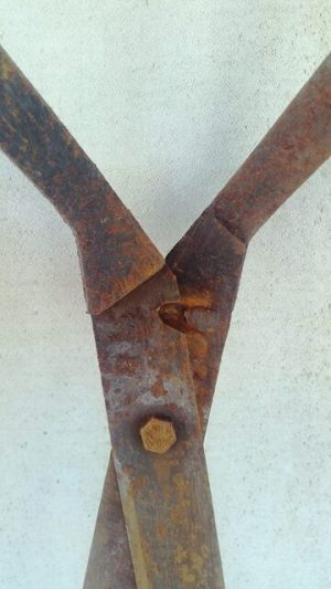 Žirklės gyvatvorei - Image 2