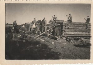 Fotografija "Stalino vardo" kolūkio tvarto statyba"