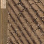 Vaižganto raštai XV