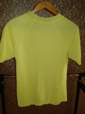 Tarybinė palaidinė