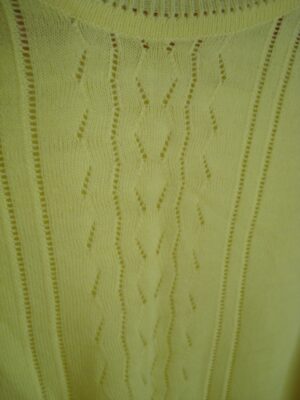 Tarybinė palaidinė