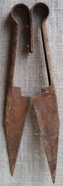 Žirklės avims kirpti