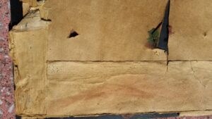 Stiklinis rėmelis fotografijoms