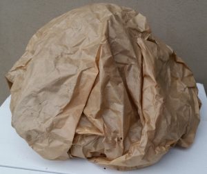 LADA priekinio žibinto korpusas