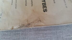 Kun. Chaignonas. Į Aukštybes.