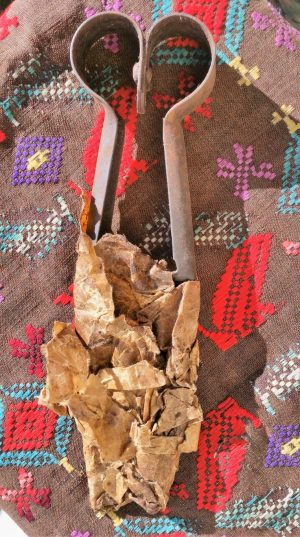 Žirklės avims kirpti