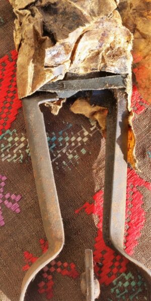 Žirklės avims kirpti