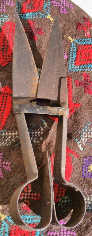 Žirklės avims kirpti