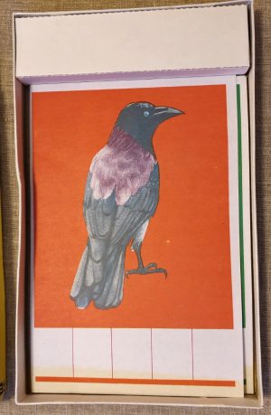 Žaidimas "Raidės ir žodžiai"