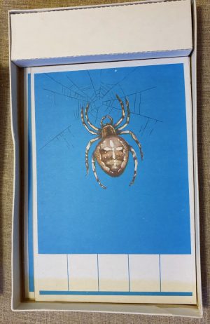 Žaidimas "Raidės ir žodžiai"