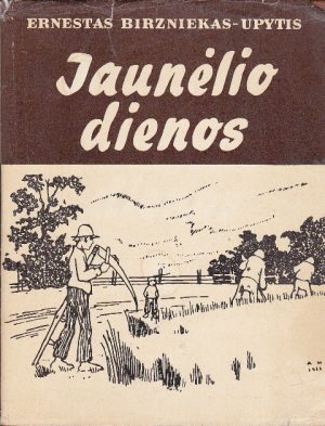 Birzniekas-Upytis Ernestas. Jaunėlio dienos