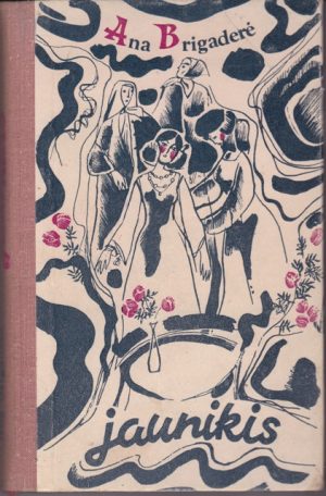 Brigaderė Ana. Jaunikis