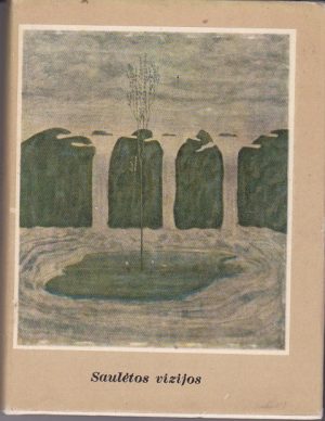 Budrytė Stasė. Saulėtos vizijos