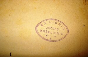 Dostojevskis F. M. Idiotas. III dalis