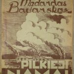 Medardas Bavarskas. Pilkieji namai