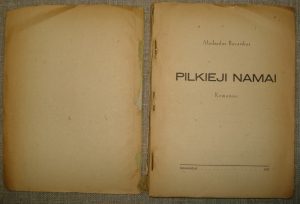 Medardas Bavarskas. Pilkieji namai