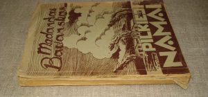 Medardas Bavarskas. Pilkieji namai