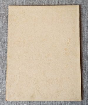 Kartoninis aplankalas "Garbės raštas"