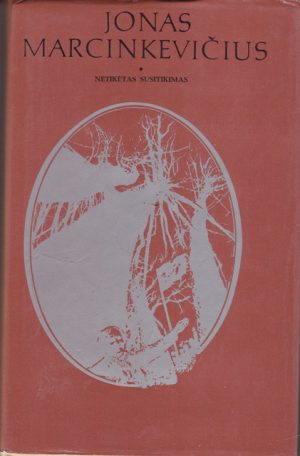 Marcinkevičius Jonas. Netikėtas susitikimas