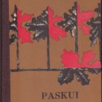 Dautartas Vladas. Paskui vaivorykštę