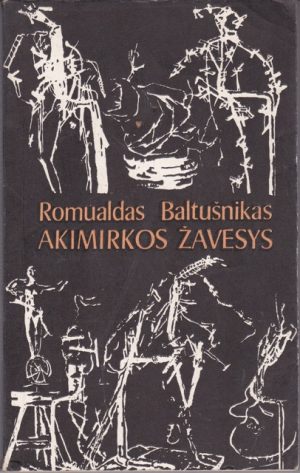 Baltušnikas R. Akimirkos žavesys