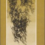 Mackevičiūtė Regina. Gyvenimo saulė