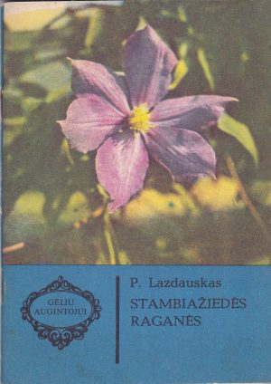 Lazdauskas P. Stambiažiedės raganės