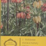 Rukšanas J. Svogūninių gėlių pražydinimas