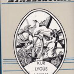 Mikelinskas Jonas. Kur lygūs laukai
