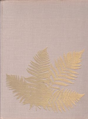 Grigaliūnas Jonas. Girioje prie marių