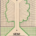 Jacinevičius Leonidas. Seni miesto medžiai