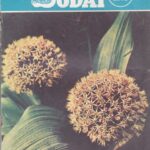 Mūsų sodai, 1978/8