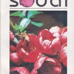 Mūsų sodai, 1990/5