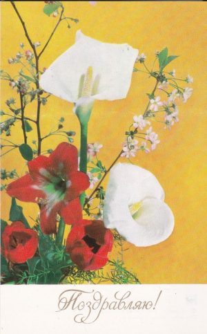 Atvirukas „Поздравляю!“ 1984