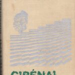 Rimkevičius Vytautas. Girėnai