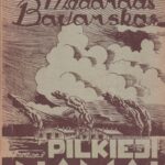 Bavarskas M. Pilkieji namai