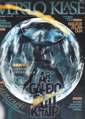 Verslo klasė, 2008/3