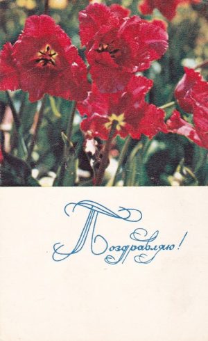 Atvirukas „Поздравляю!“ 1968