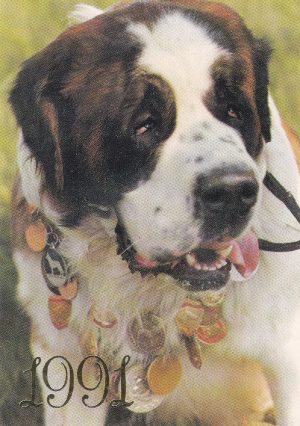 Kalendoriukas , 1991