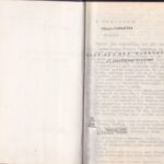 Petruitis J. Kaip jie mus sušaudė