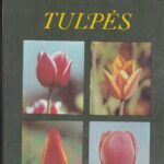 Baliūnienė A., Juodkaitė R. Tulpės
