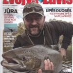 Žvejys ir žuvis, 2014/11