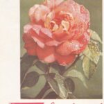 Atvirukas "Sveikinu!"