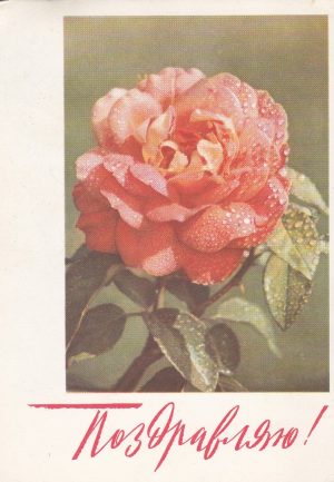 Atvirukas "Sveikinu!"