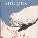 Zaikauskas Valentinas. Sniegas